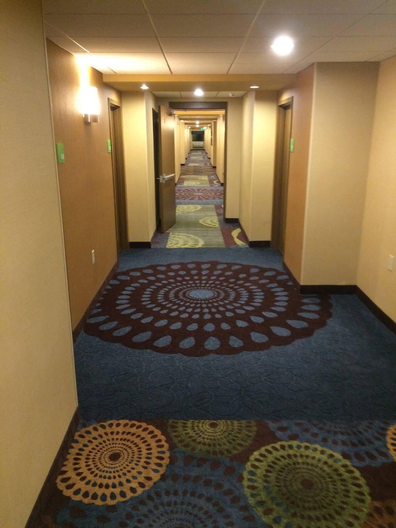 Holiday Inn Greensboro Coliseum By Ihg Eksteriør bilde